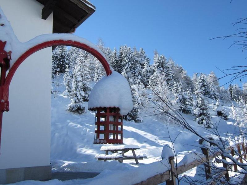 Residence Attila Panorama - image 21