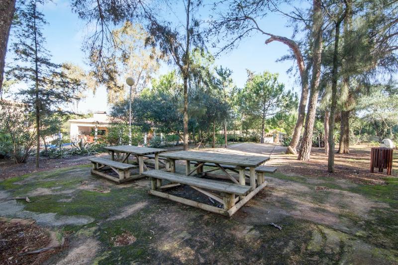 Bosque São José Ag - image 2