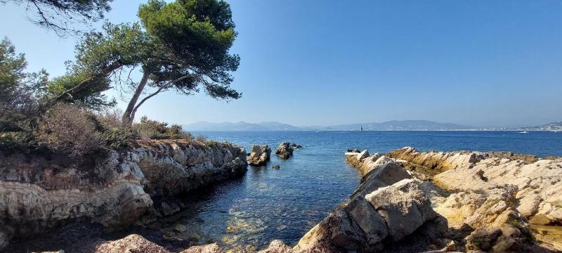 Ferienwohnung Cannes Croix des Gard - image 12