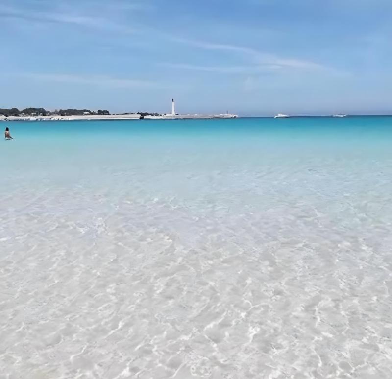 Sanvitoamare - image 8