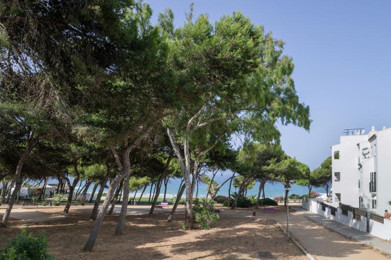 Mirador de la Atalaya con Jardín - image 14