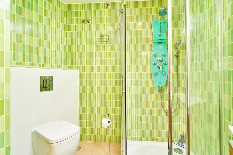 Frontal Apartment - image 9