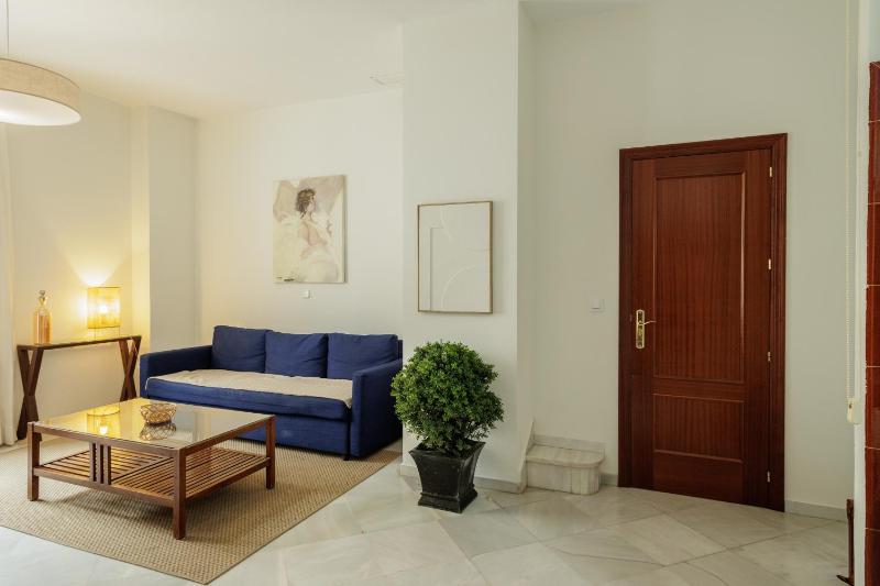 Sierpes Central Apartment - image 5
