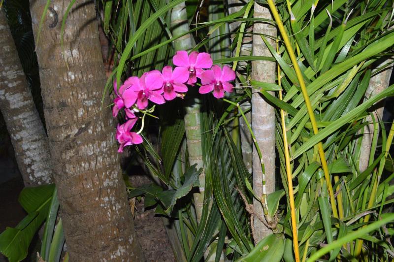Kyo Garden Villa - image 25