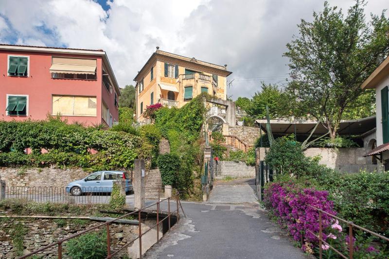 Fiordalisi - image 33