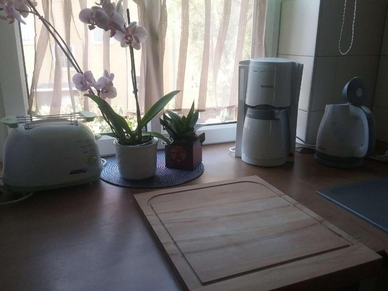 Kleine gemütliche Wohnung In Erfurt - image 5