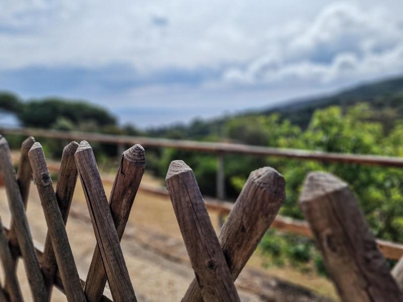 Appartamenti Le Querce App. Mirto - image 31
