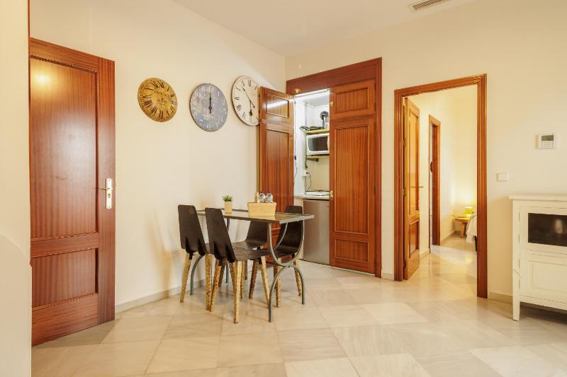 Sierpes Central Penthouse - image 3