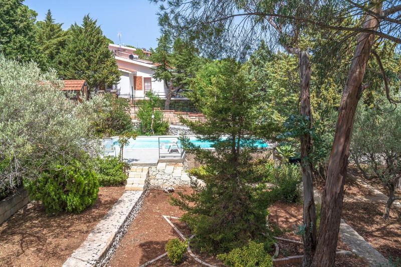 Gli Ulivi - image 35