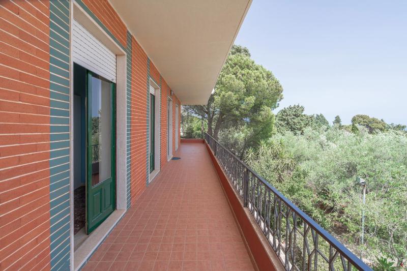 Gli Ulivi - image 31