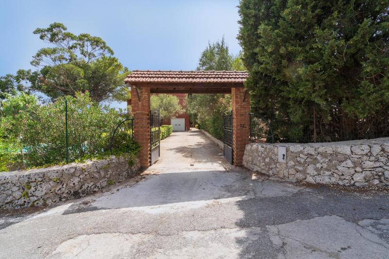 Gli Ulivi - image 30