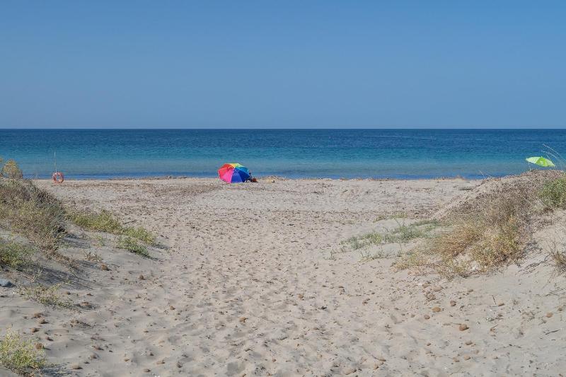 Littiricci - image 11