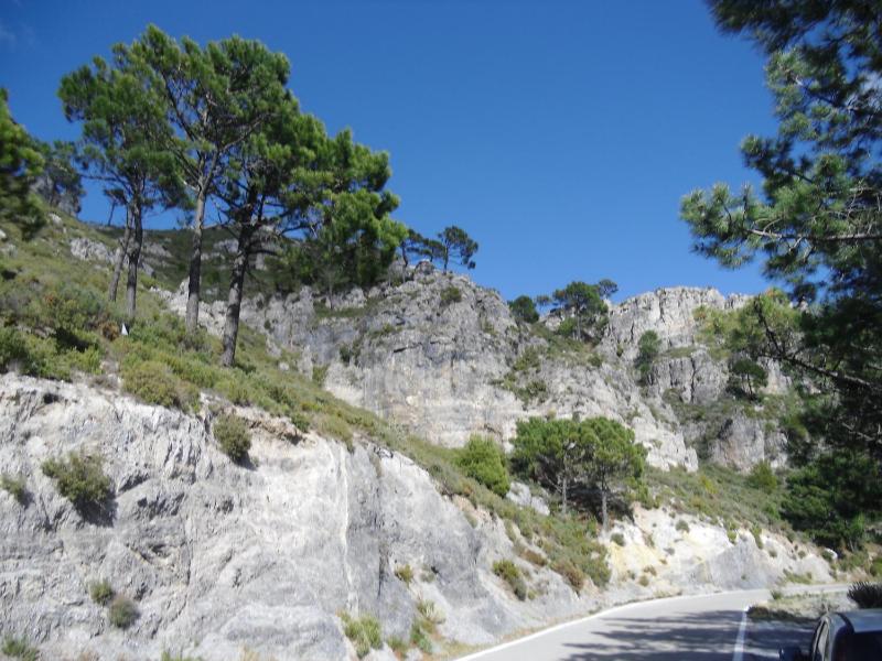 Villa Estrella de Cotobro - image 15