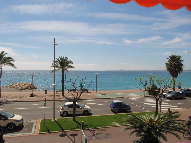 Angelina - La002 - image 17