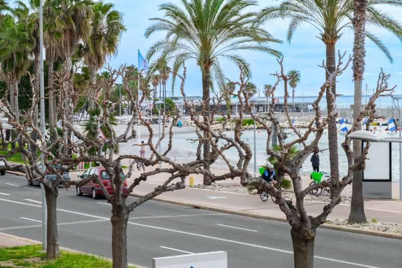 Angelina - La002 - image 9