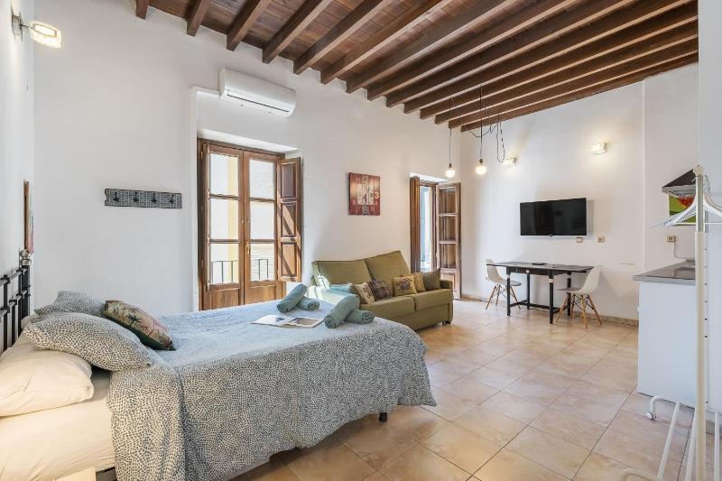 Elvira Apartamento Centro Albaicín - image 6