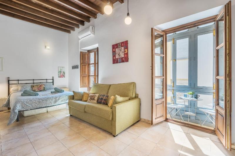 Elvira Apartamento Centro Albaicín - image 1