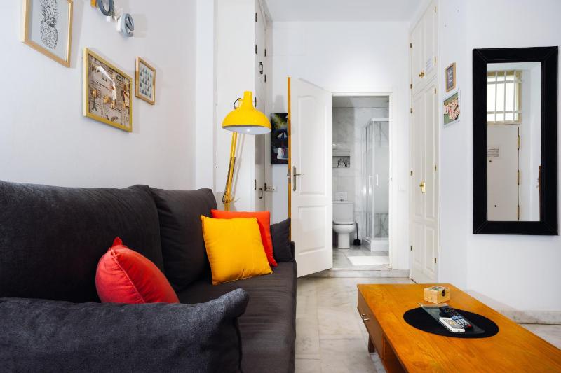 Duplex Seville-Historic Center - image 16