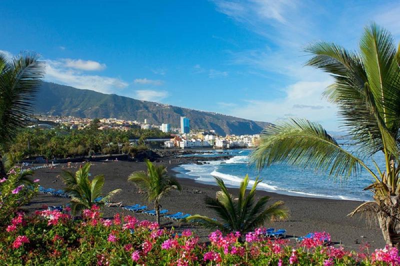 Bonito apart sea view playa jardin - image 7
