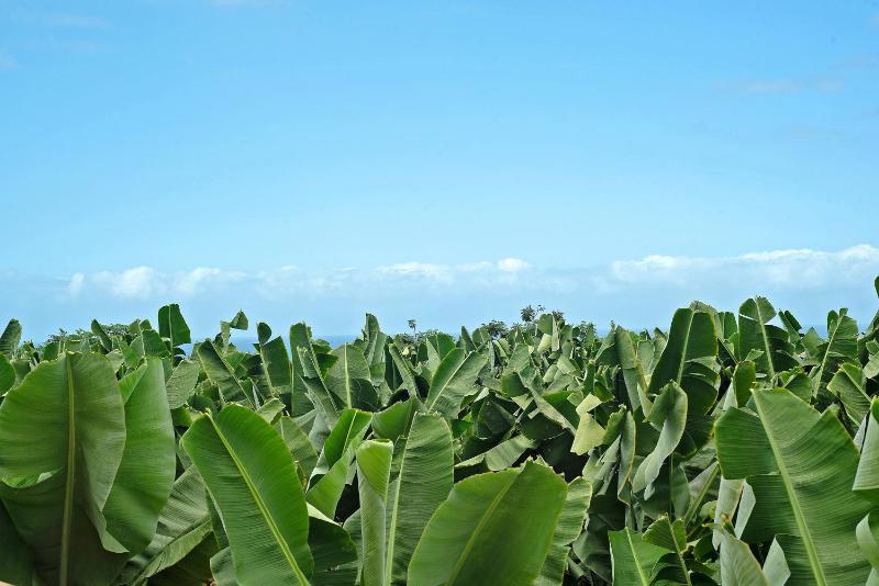 Puerto Hills - image 31