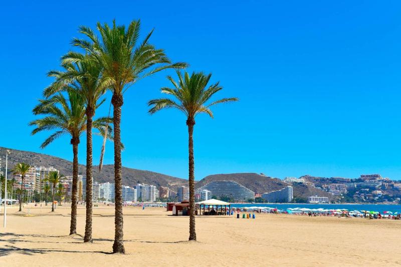 Nereidas Beachfront - image 17