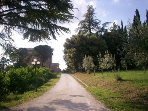 Assisi Garden - image 28
