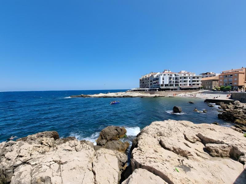 Cargol de mar - image 4
