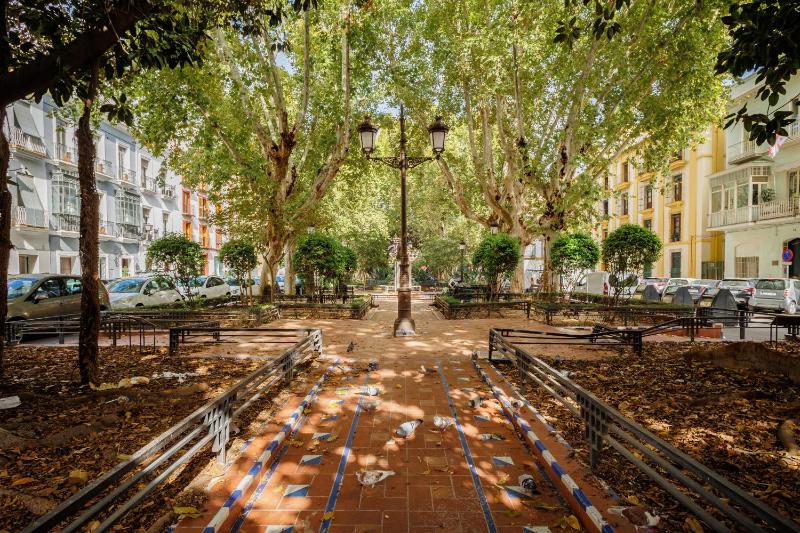 En el Corazón de Sevilla - image 9
