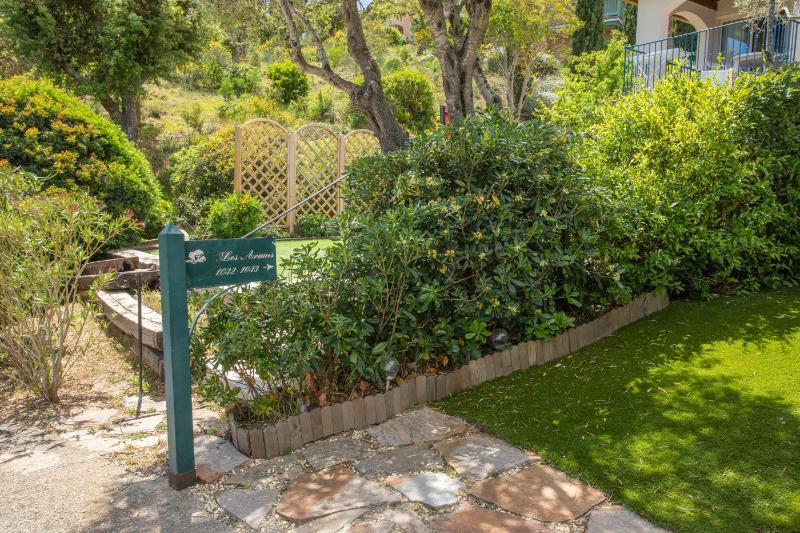 Restanques de Saint Tropez - arums - image 9