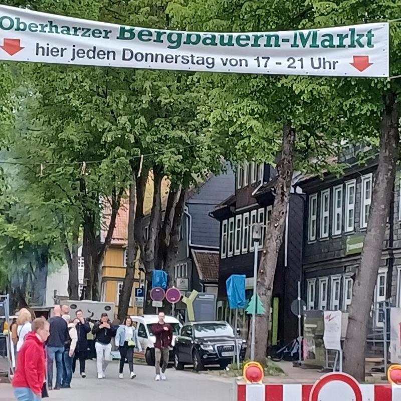 Ferienhaus Hahnenklee - image 8
