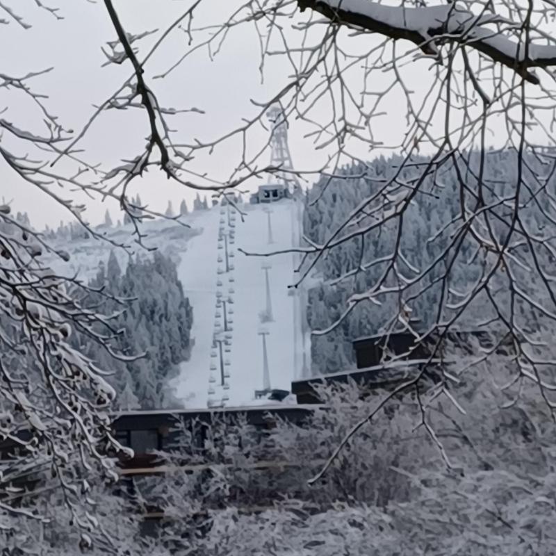 Ferienhaus Hahnenklee - image 23