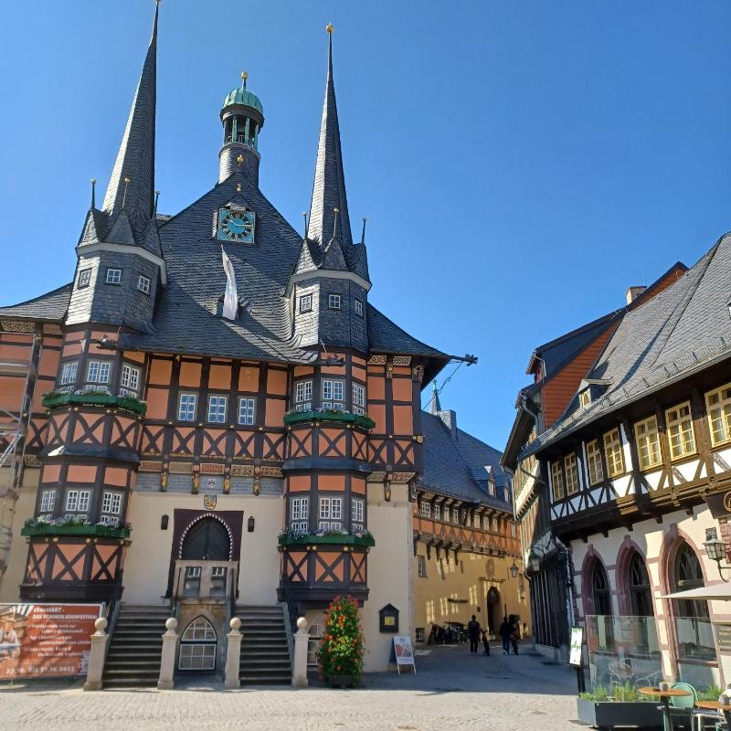 Ferienhaus Hahnenklee - image 19