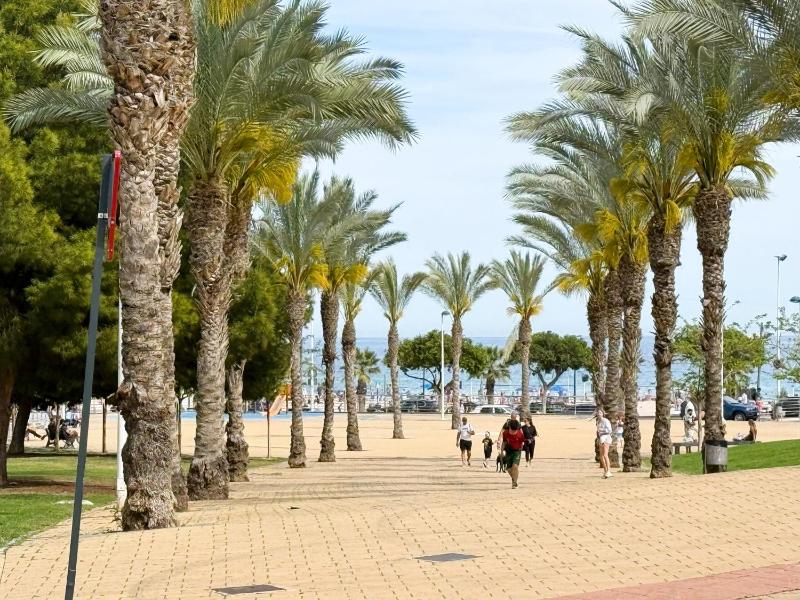 Cala alta - image 17