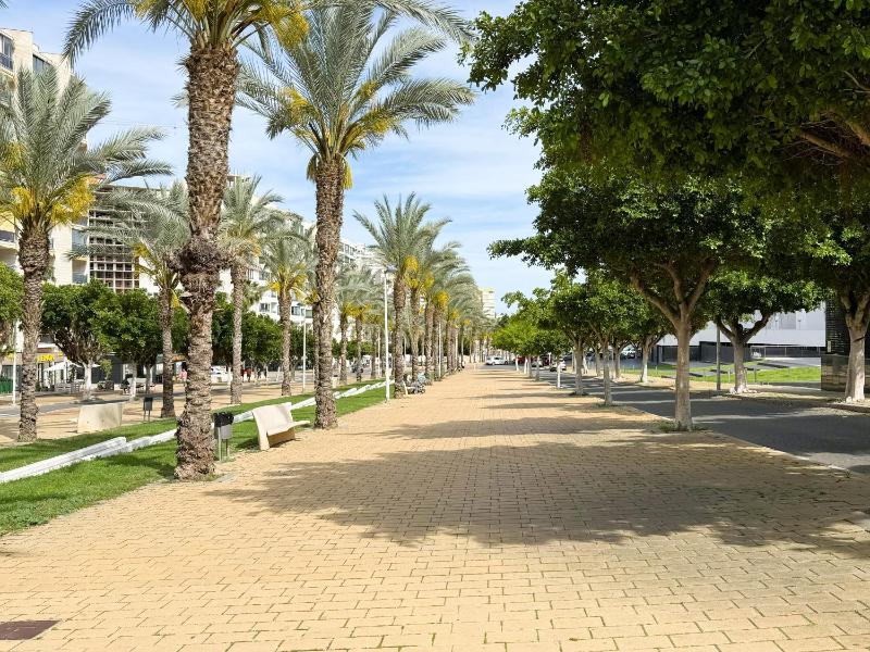Cala alta - image 7