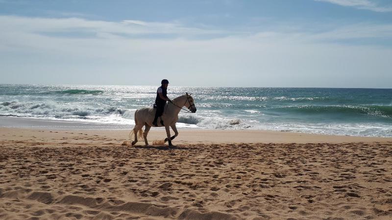 T1 Albufeira Tranquilidade - image 16
