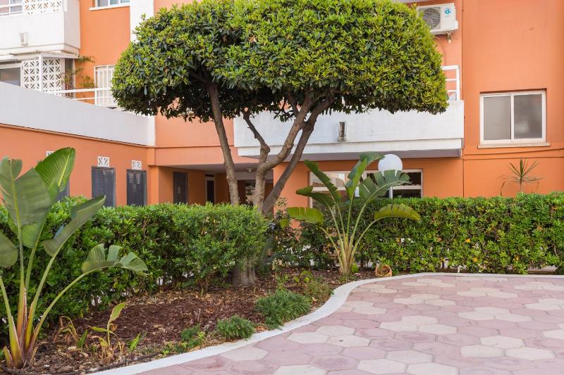 Las Alondras - image 16