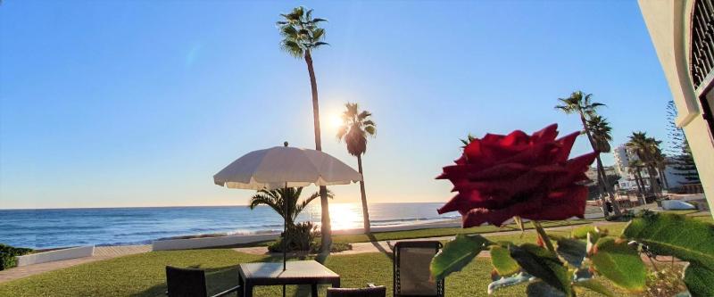 Sea Front Beach House Macarena C - image 18
