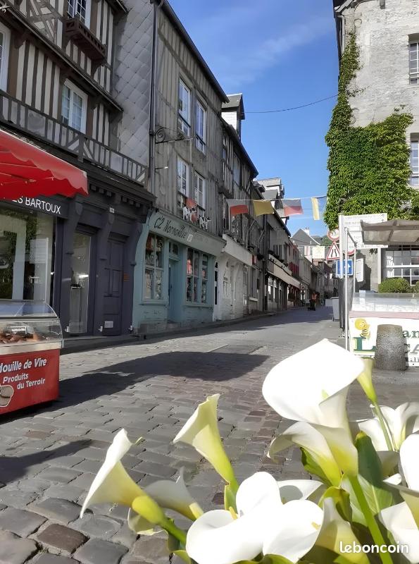 Côte fleurie -Le Cottage D'honfleur - image 32