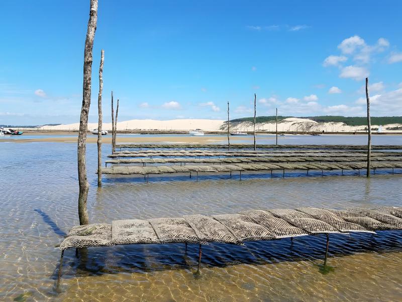 Appartement bord de plage-Arcachon - image 21