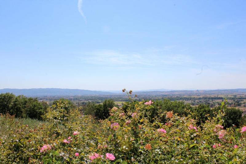 Amazing Assisi - image 21