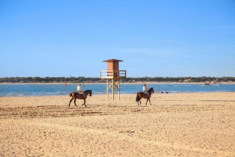 Sol y mar - image 13