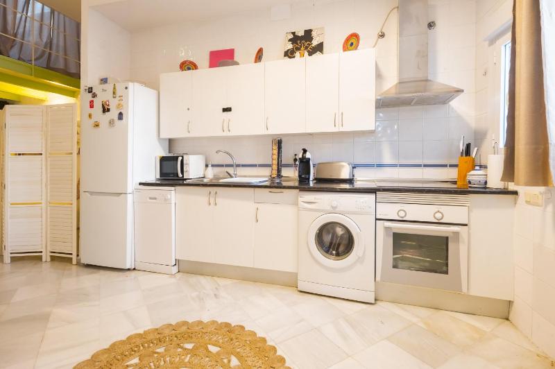 Duplex-Penthouse Terrace Citycenter - image 9