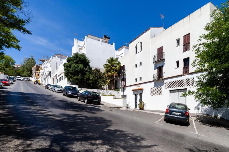Apartamento Los Remedios Con Patio Andaluz - image 2