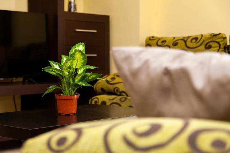 Apartamento Los Remedios Con Patio Andaluz - image 28