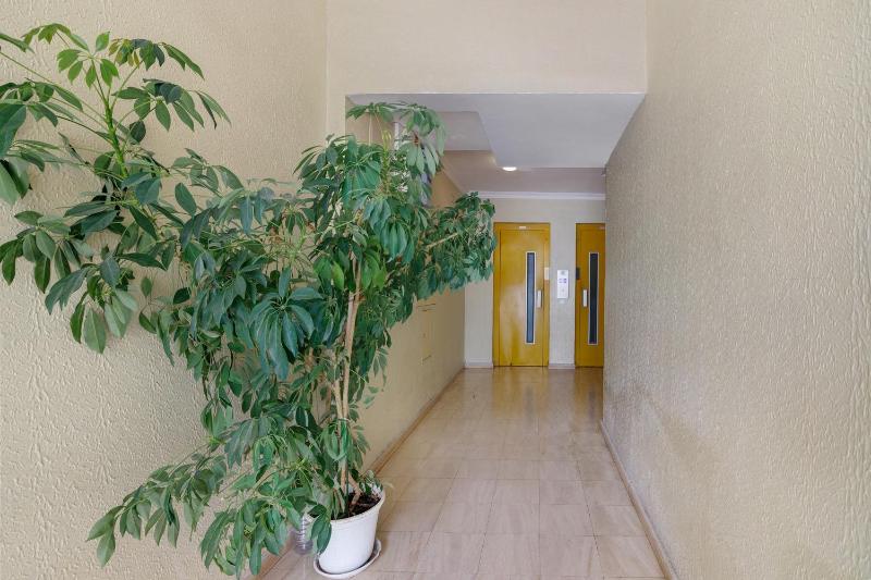 Apartamento Sun7set - image 7