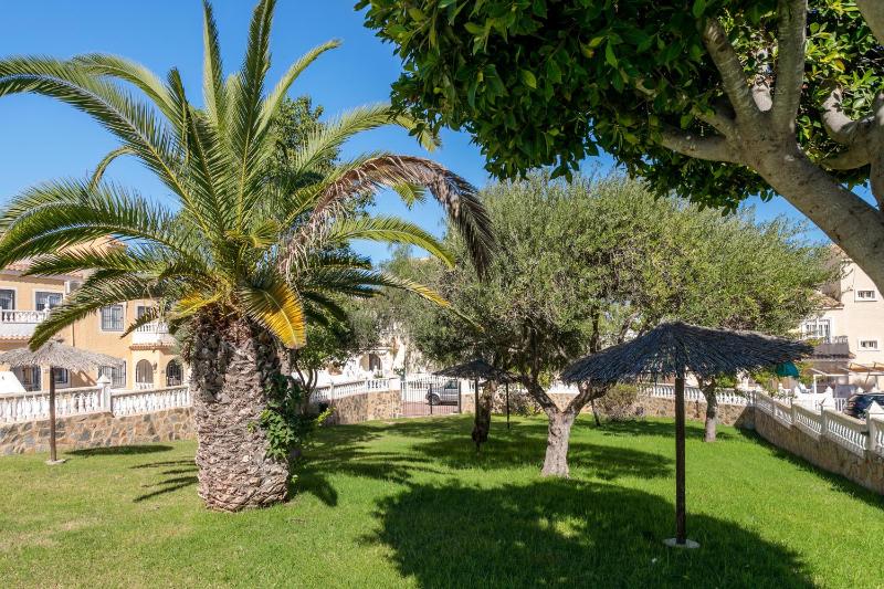 Duplex En Gran Alacant - image 8