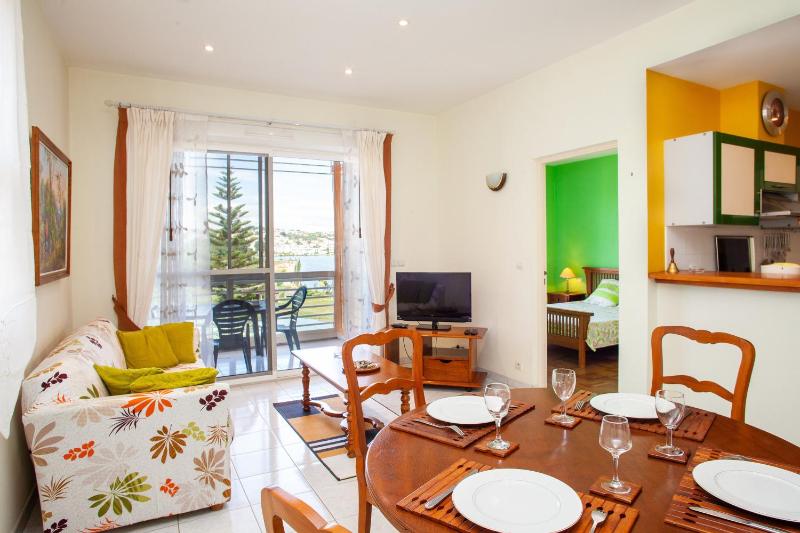 Appartement de Standing vue sur lac - image 14