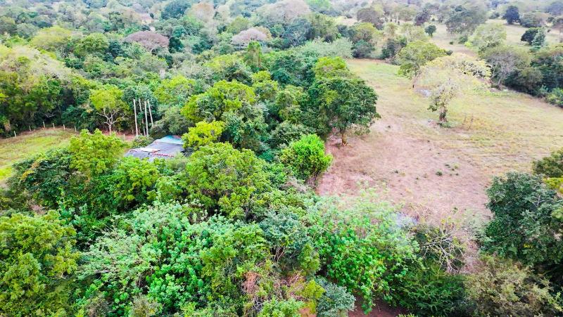 Ever Green Eco Resort Wilpattu - image 13
