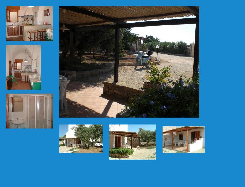 One-Bedroom Apartment image 4