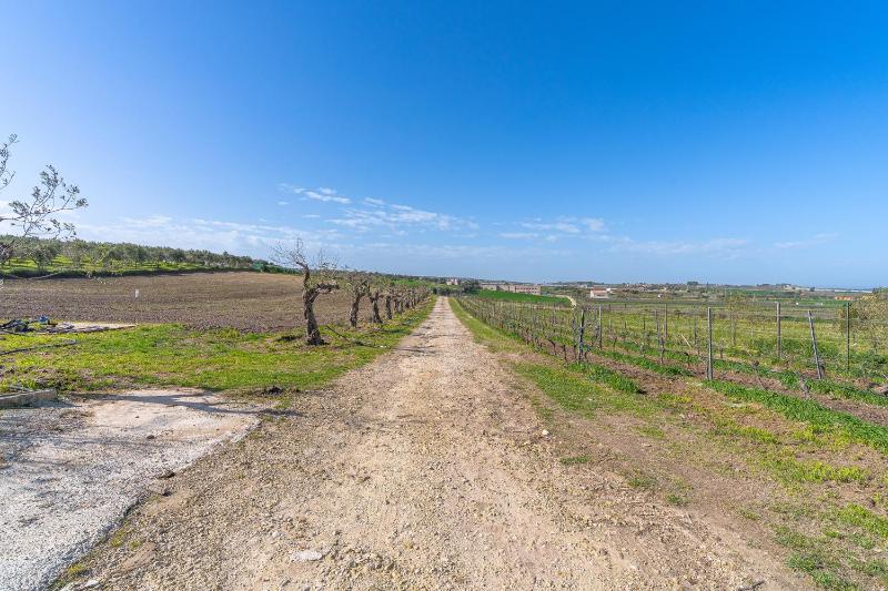 Casa Cantina Scalecci - image 9